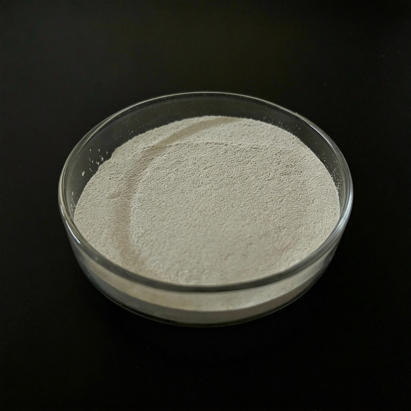 Ferrous Sulfate Monohydrate